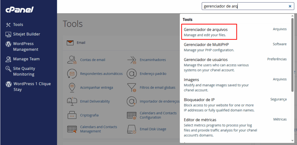 Como localizar arquivos usando o Gerenciador de Arquivos do cPanel