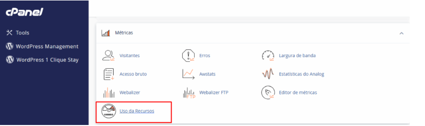 Acessando a ferramenta Uso de Recursos (Resource Usage) no cPanel.