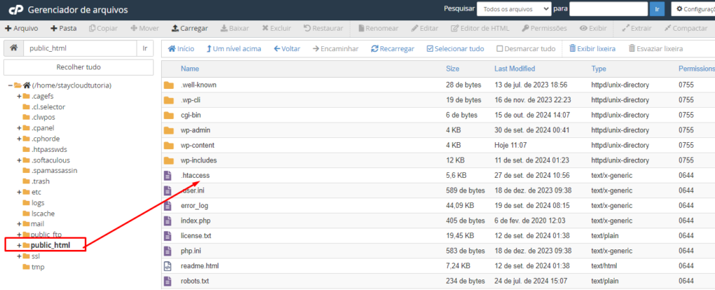 Navegando até a pasta public_html no Gerenciador de Arquivos.