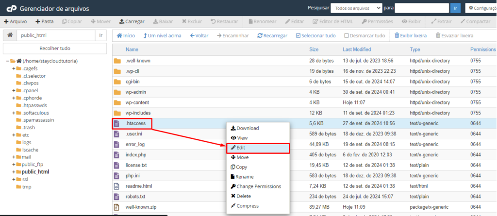 O arquivo .htaccess agora está visível na lista de arquivos.