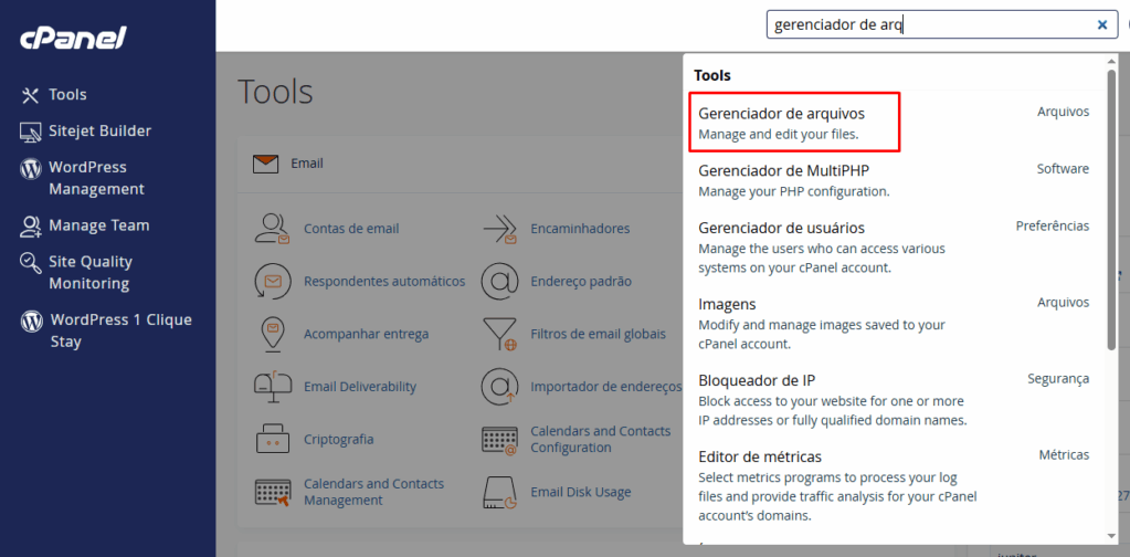 Imagem ilustrativa do cPanel, mostrando a busca pelo Gerenciador de arquivos.