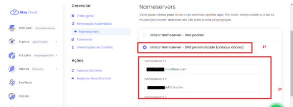 Inserindo os novos nameservers nos campos personalizados.