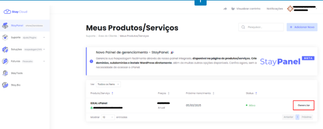Criação de Registro DNS no StayPanel - Acessando Meus Produtos/Serviços.