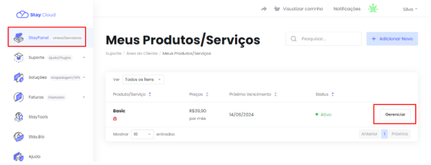 Como apontar domínio para StayCloud - Acessando o StayPanel.
