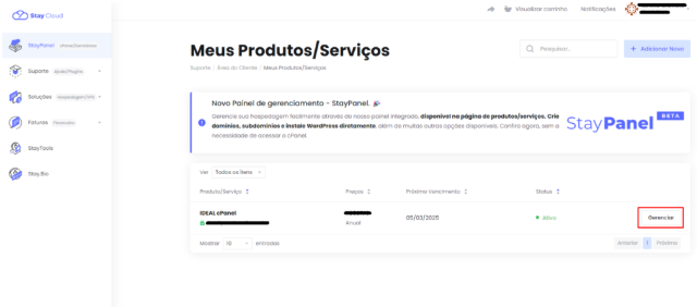 Como Criar uma Conta de E-mail no StayPanel - Acessando Gerenciar.