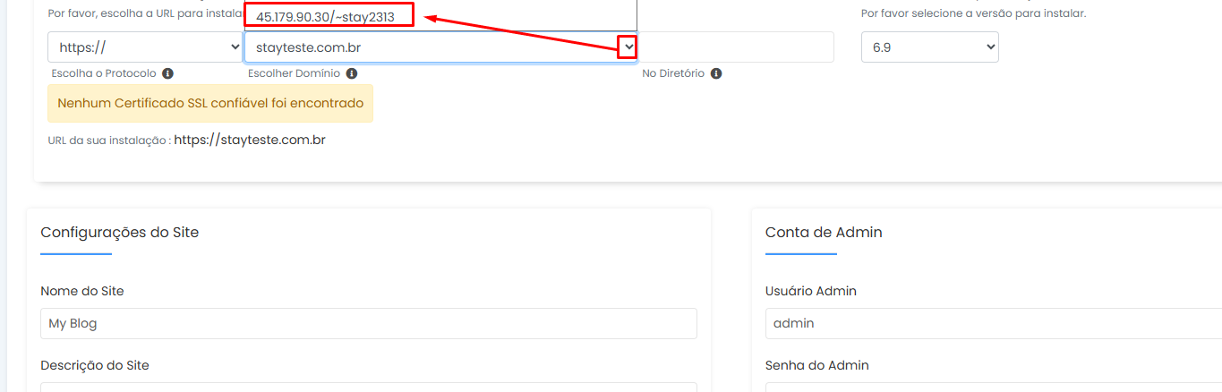 Selecionando o protocolo HTTP e o domínio temporário na lista