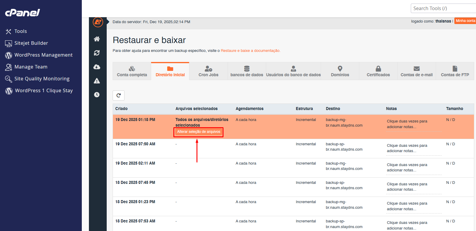 Opção de selecionar arquivos específicos no backup
