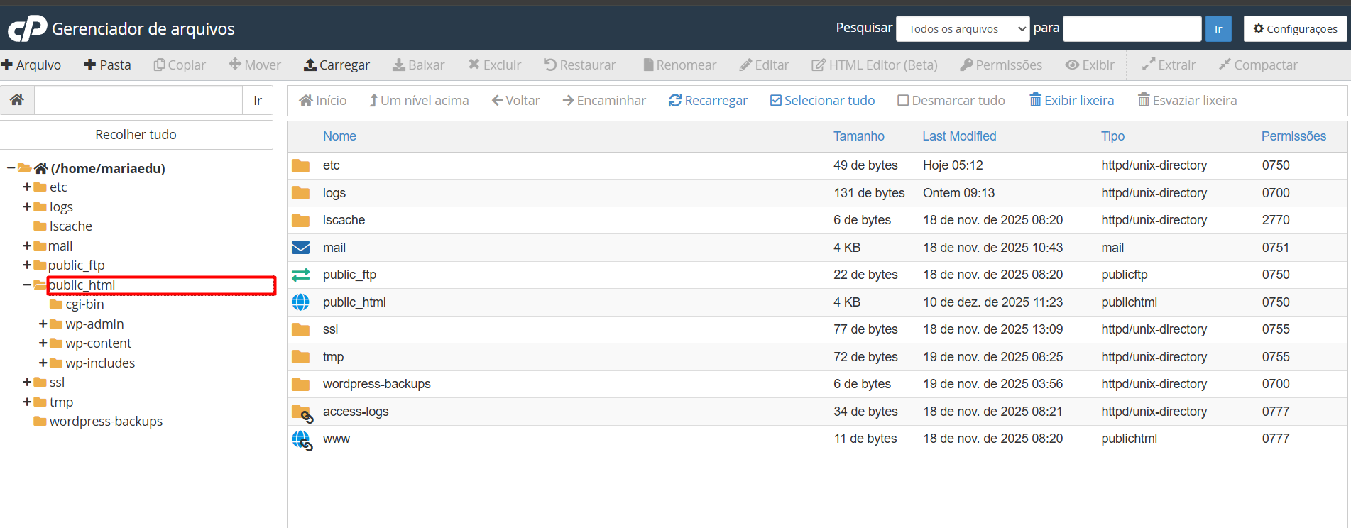 passo a passo de como hospedar arquivos na public_html