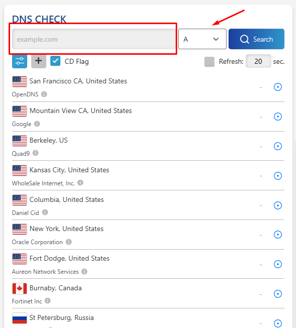 Exemplo de verificação de propagação no site DNS Checker