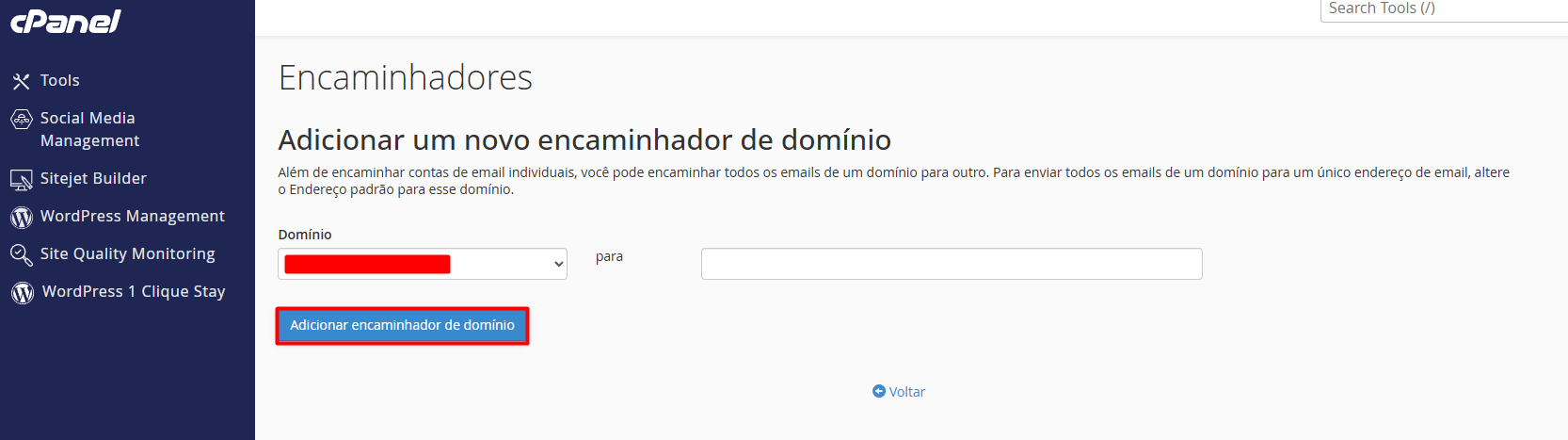 Configurando encaminhador de domínio inteiro no cPanel
