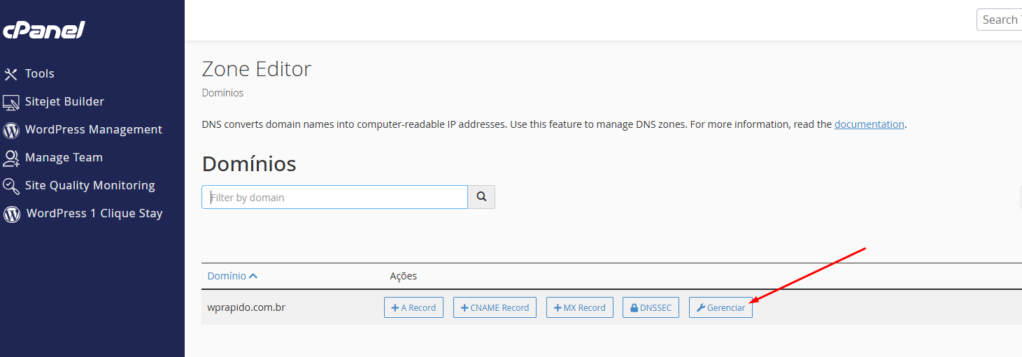 Gerenciando domínios no Zone Editor do cPanel