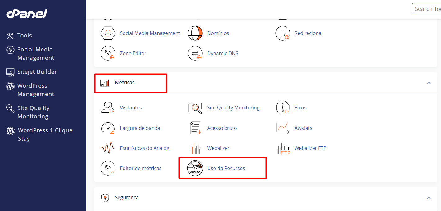 Acessando o painel para verificar o uso de recursos no cPanel