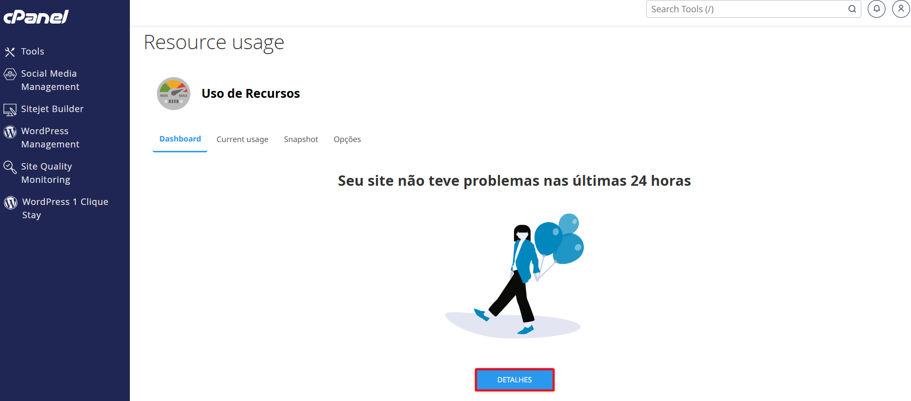 Análise de métricas para verificar o uso de recursos no cPanel