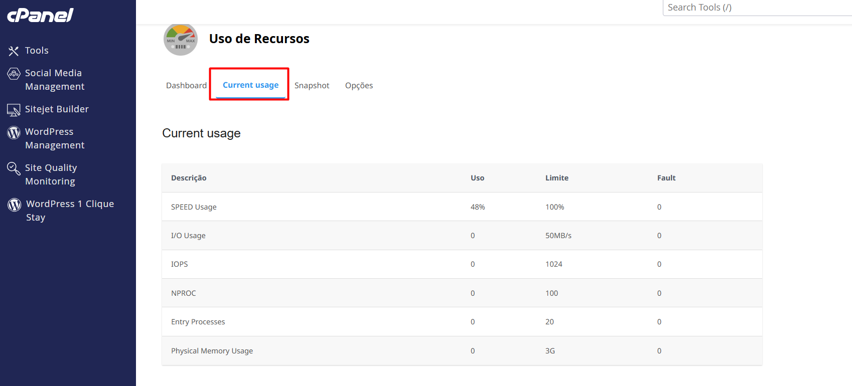Gráficos de performance ao verificar o uso de recursos no cPanel
