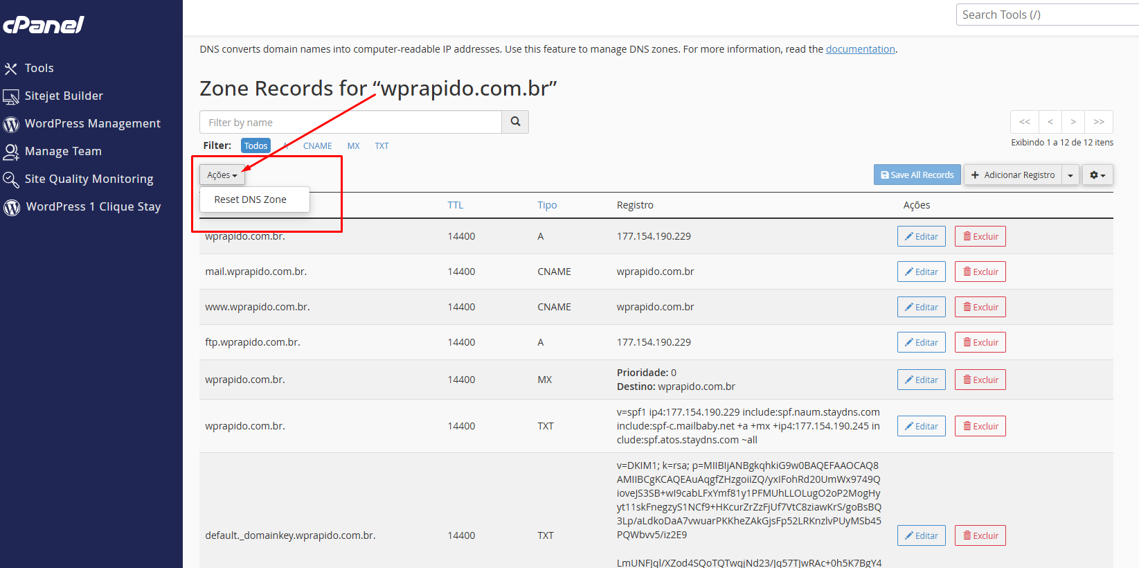 Como fazer o reset da zona de DNS no cPanel