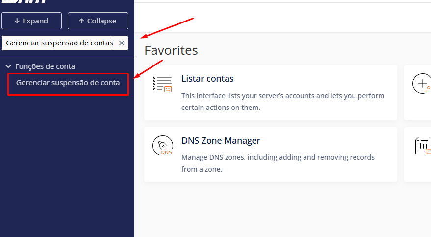 Menu para suspender conta no WHM StayCloud