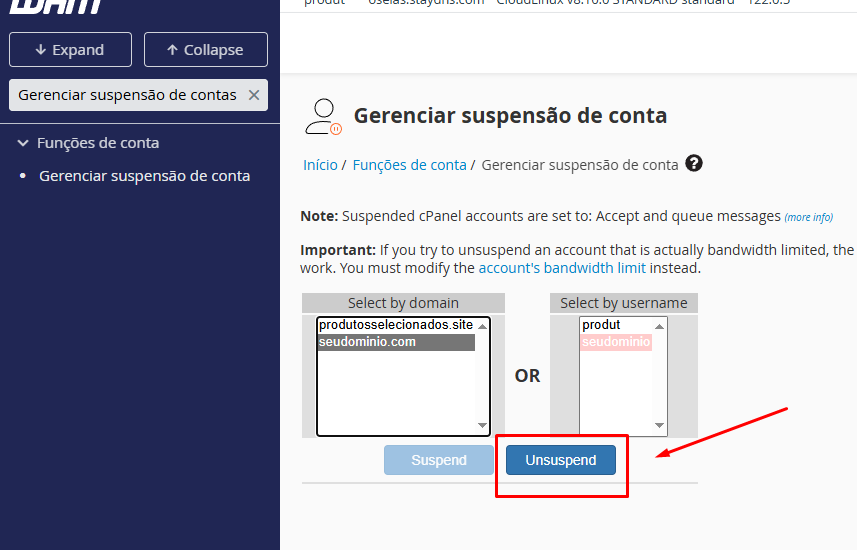 Botão Unsuspend para reativar conta no WHM