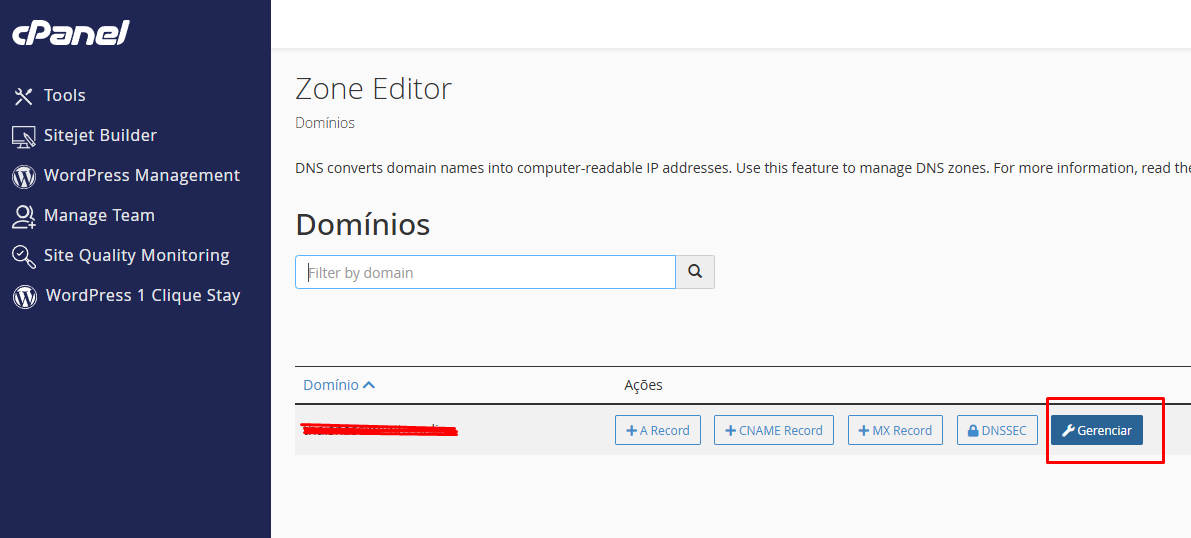 Botão Gerenciar no Zone Editor cPanel