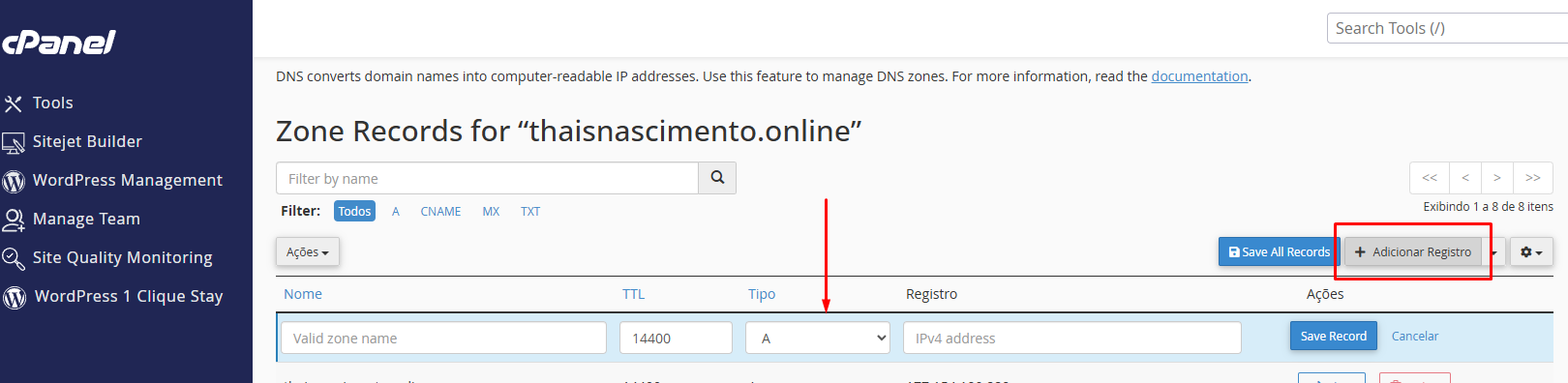 Adicionando registro no Zone Editor cPanel