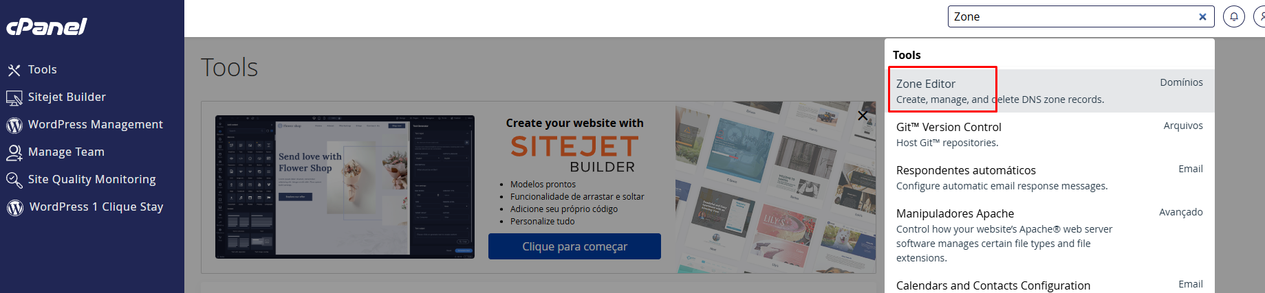 Localizando o Zone Editor cPanel na busca