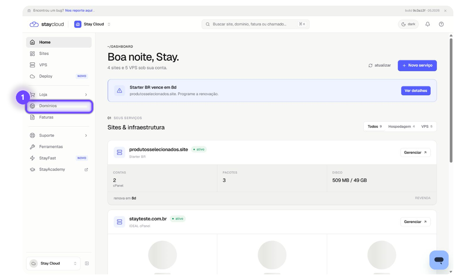 alterar nameservers StayCloud pelo menu Domínios