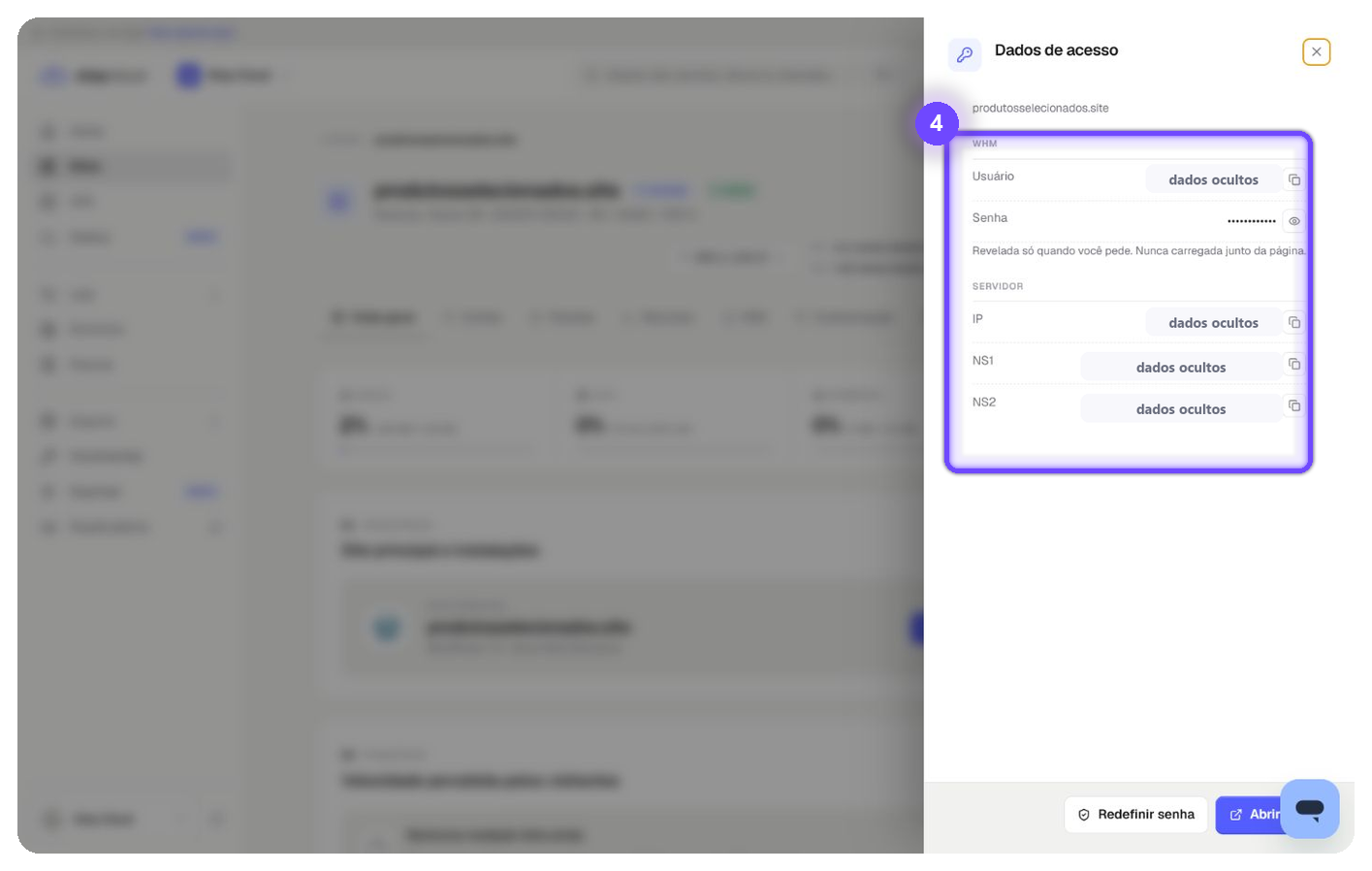 localizar acessos StayCloud no painel Dados de acesso
