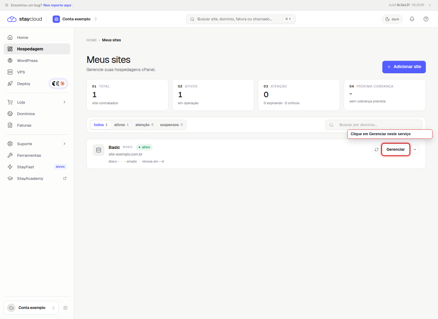 Botão Gerenciar do serviço correto no Painel Novo StayCloud.