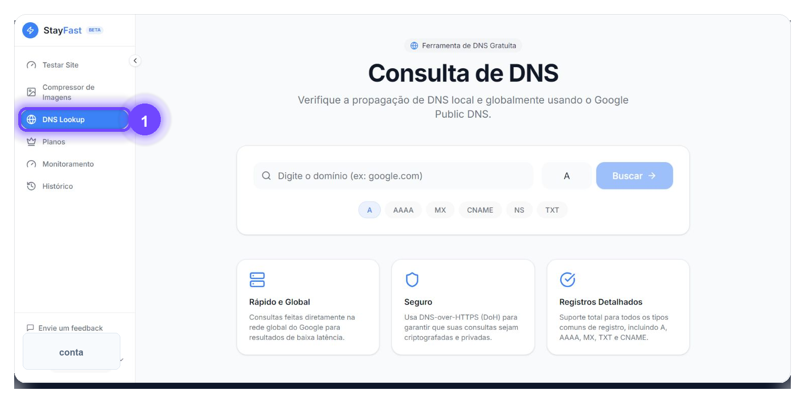 Menu para consultar DNS no StayFast