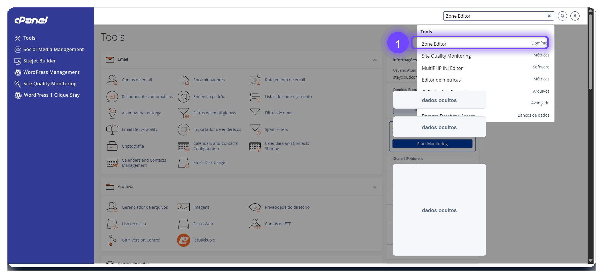 resetar zona de DNS cPanel - pesquisa pelo Zone Editor no cPanel