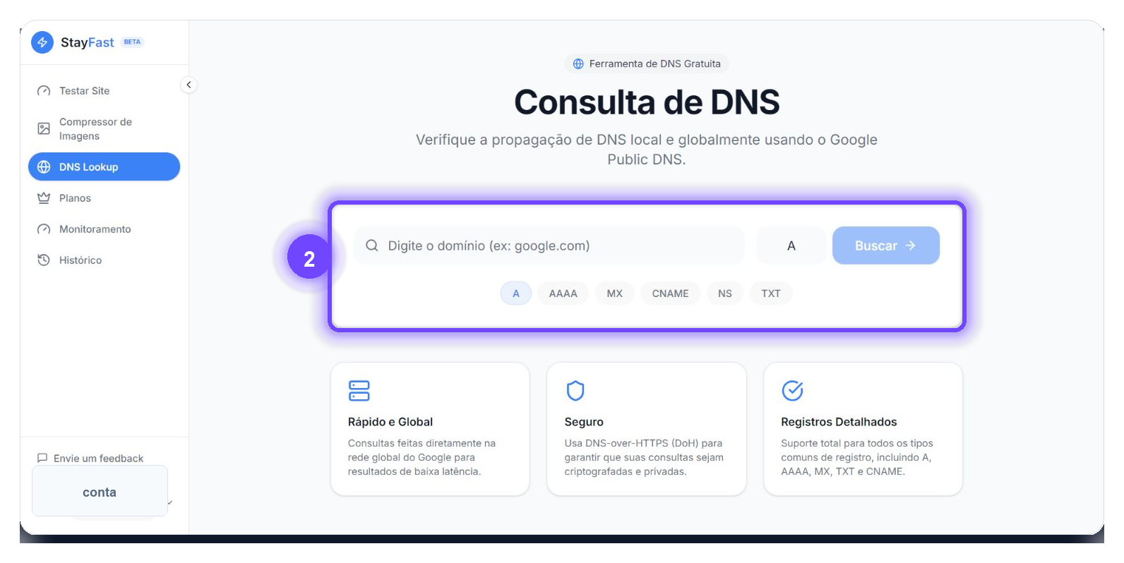 Campo para consultar DNS no StayFast