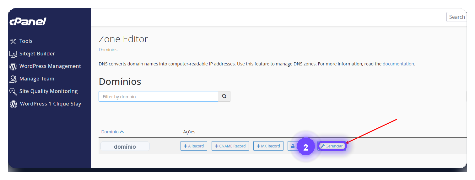 resetar zona de DNS cPanel - botão Gerenciar no domínio correto
