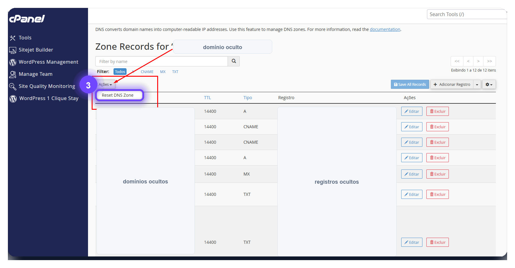 resetar zona de DNS cPanel - opção Reset DNS Zone destacada
