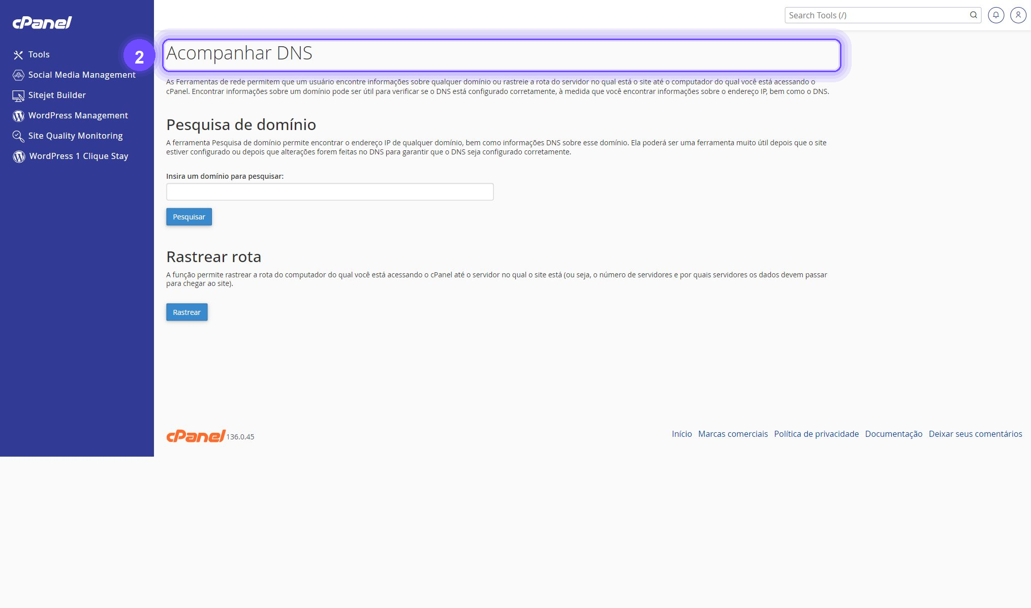acompanhar DNS no cPanel - tela Acompanhar DNS