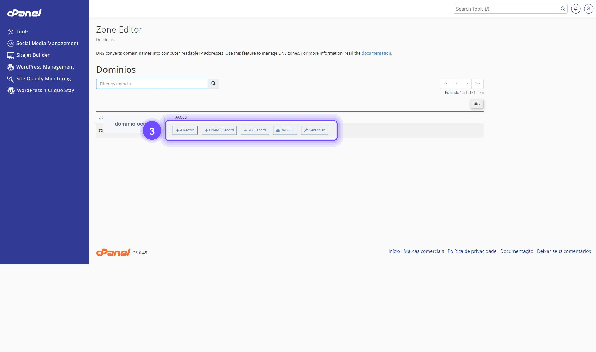 configurar DNS no Zone Editor do cPanel - ações DNS destacadas