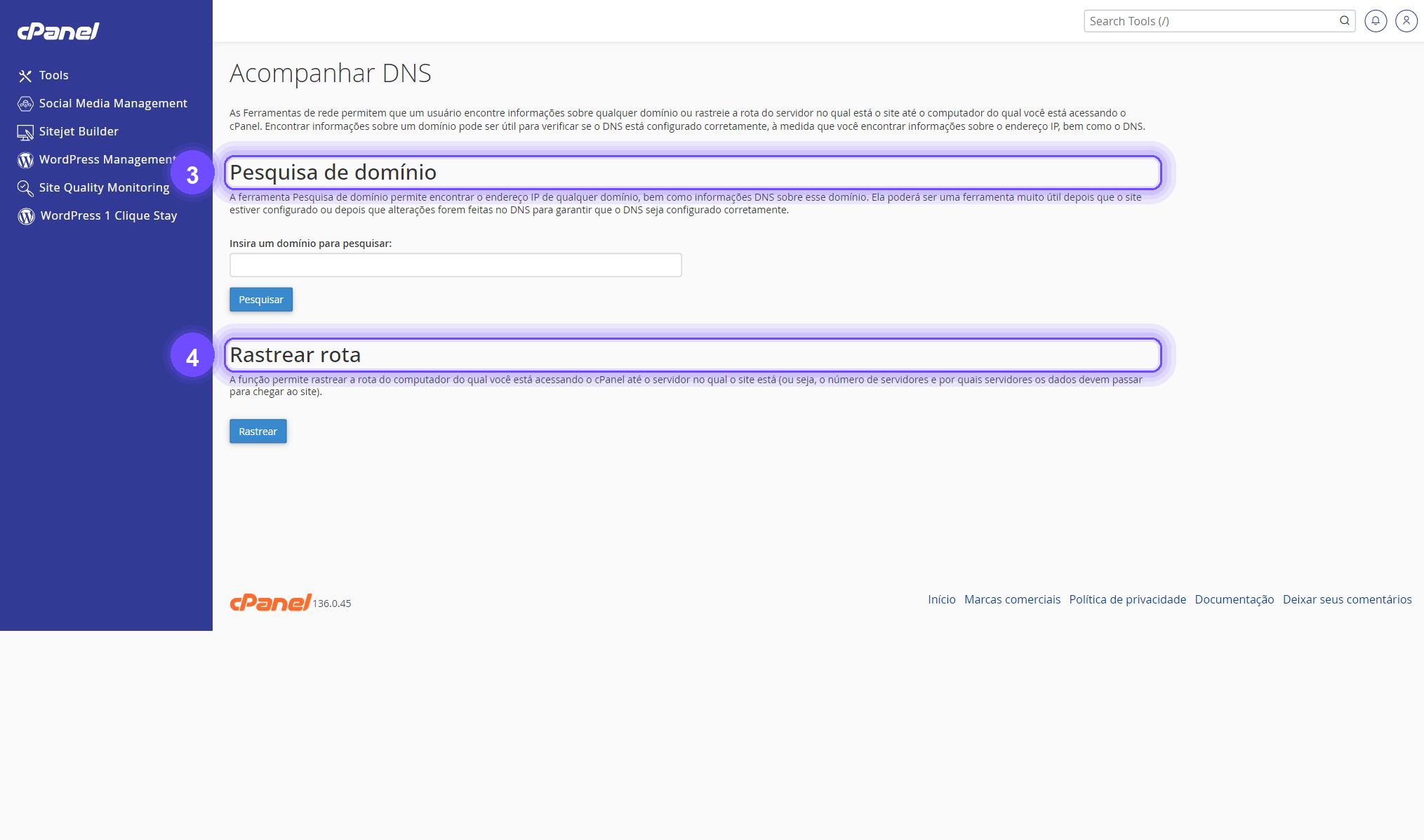 acompanhar DNS no cPanel - pesquisa de domínio e rastrear rota
